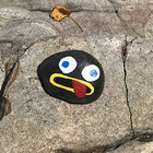 anthatjustheway