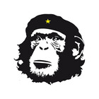 evolucion