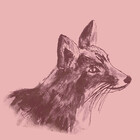 Sarah-Wilde