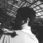 LiveFunDIY