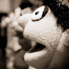 davebanenphoto