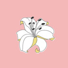 Easterlily