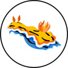 colourfulslug