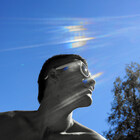 mauserius