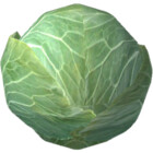 SerenaCabbage