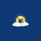 sunnybandana