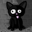 Purrdition