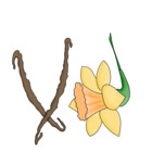 VanillaDaffodil