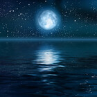 MoonBeam567