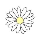 daisystars