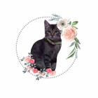 TheFineCat