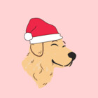 Dogily