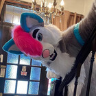 FuzeTheWolfie
