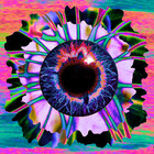 trippydizzle