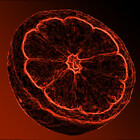 RedLemon