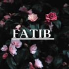 FATIB