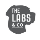 DesignLab