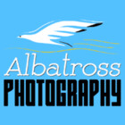 AlbatrossPhoto