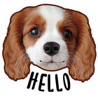 CUTE-DOGS