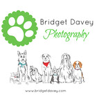 BDphotography