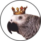 PoshParrotCo