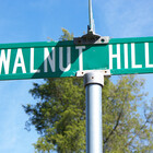 WalnutHill