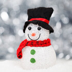 Snowman2008
