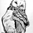 Shymoon-Art