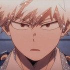 Hawks-song-bird