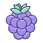 VerryBerry