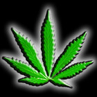 CannabisCloth