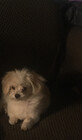 ChristyRe