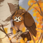Eddypigeon