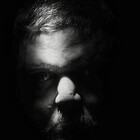 Corvidae65