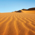 Prince-of-Sand