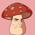 kaiioni