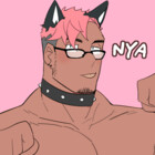 k9senpai