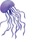 TomboKikii
