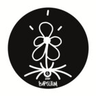 Bapelitum