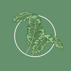 WildeJungle