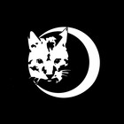 LunaticatDesign
