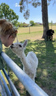 Itakho