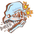 itsybitsybones