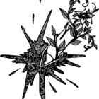LucArt111