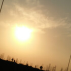 Art396824