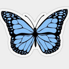 evredbubbleshop
