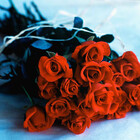 Uphoto