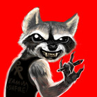 RubbishRaccoon