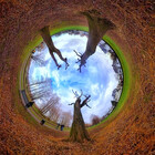 360world
