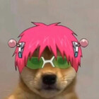 nizzyske